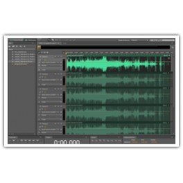 SERVIZIO DI PULIZIA REGISTRAZIONI AUDIO